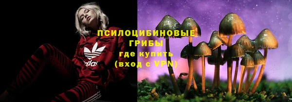 spice Белокуриха