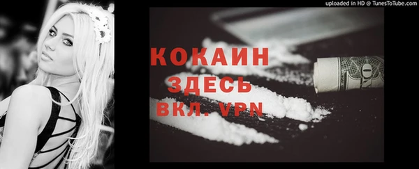 spice Белокуриха