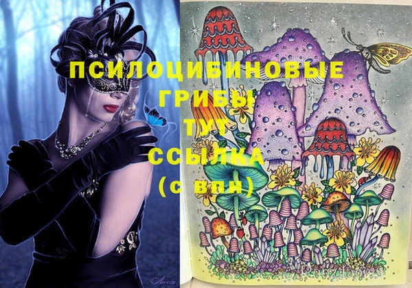 spice Белокуриха