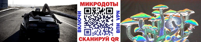 Галлюциногенные грибы Psilocybe  Верхотурье 